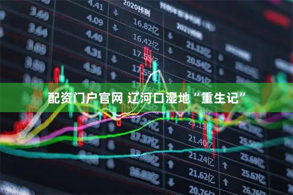 配资门户官网 辽河口湿地“重生记”