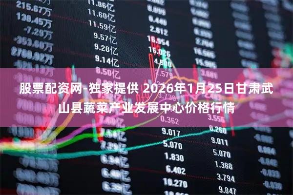 股票配资网-独家提供 2026年1月25日甘肃武山县蔬菜产业发展中心价格行情