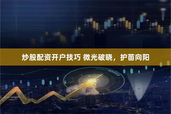 炒股配资开户技巧 微光破晓,护苗向阳